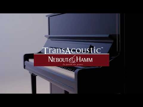 Comment fonctionne le système Transacoustic Yamaha ?