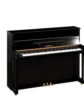 Yamaha B2E