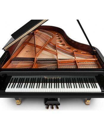 Bosendorfer 200