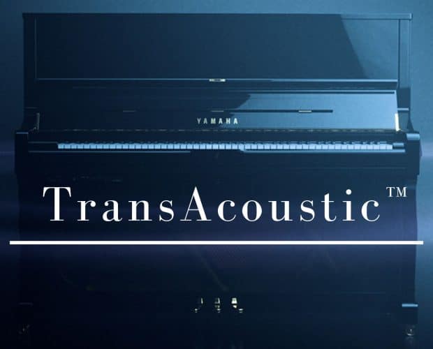 Transacoustic piano text