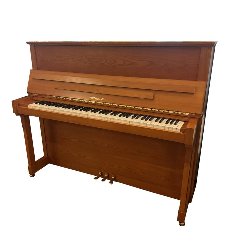 hoffmann 124 1995