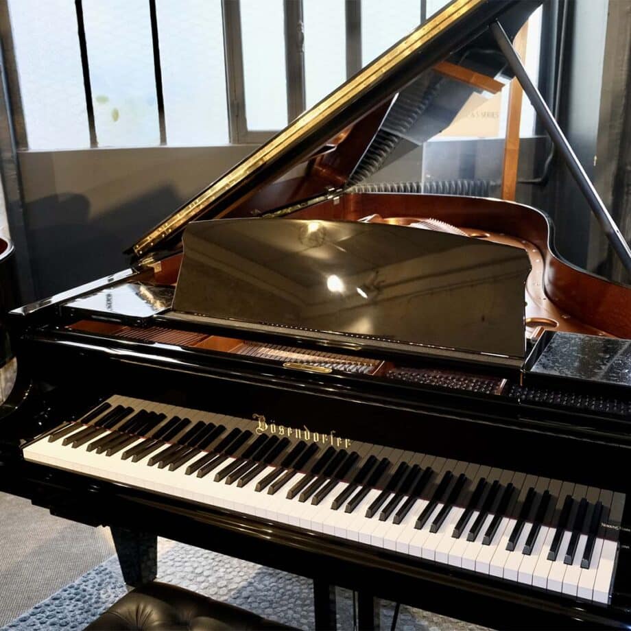 bosendorfer 214vc silent occasion
