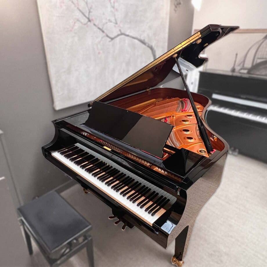 Yamaha CF6 occasion