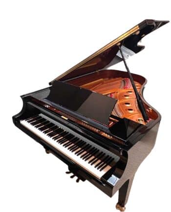Yamaha CF6 occasion