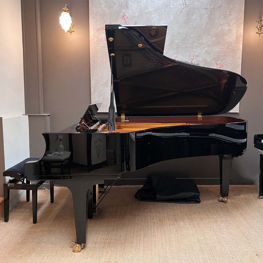 occasion Yamaha CF6