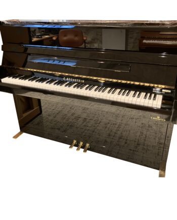 bechstein 116 millenium