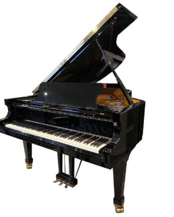 Fazioli 2004 occasion