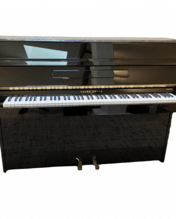 young chang109 occasion 1994