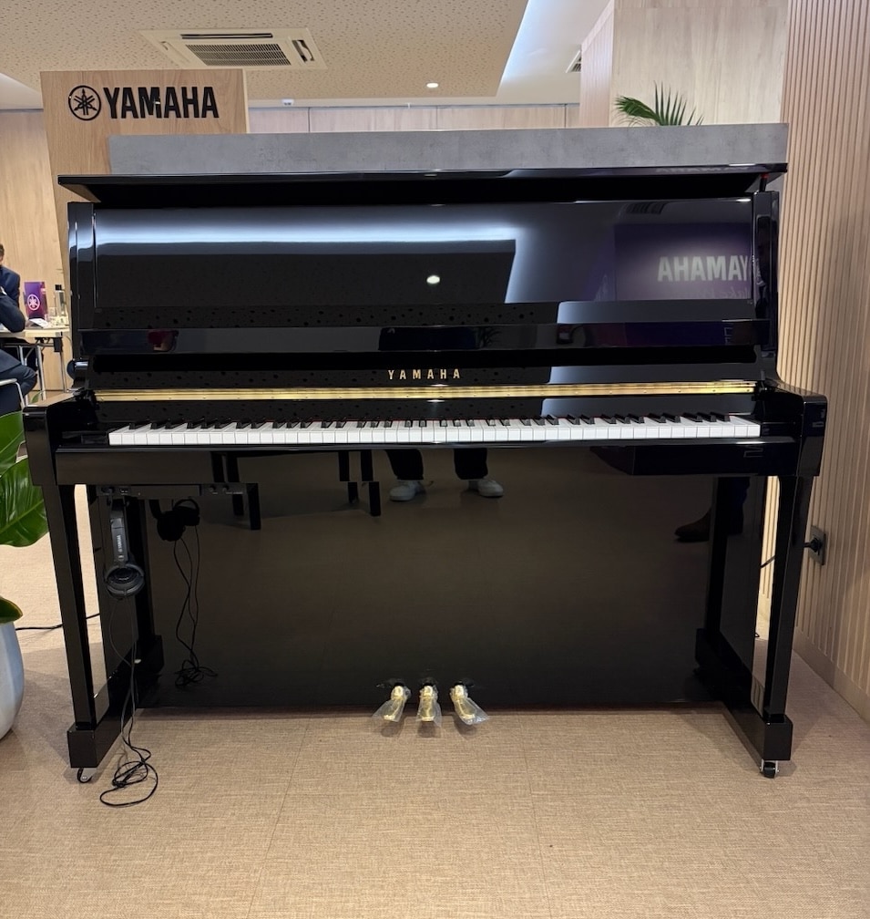Présentation Yamaha B30