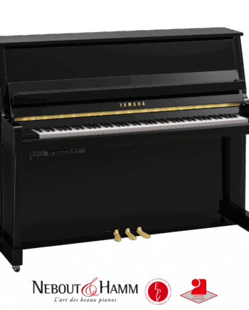 Yamaha B20 transacoustic noir