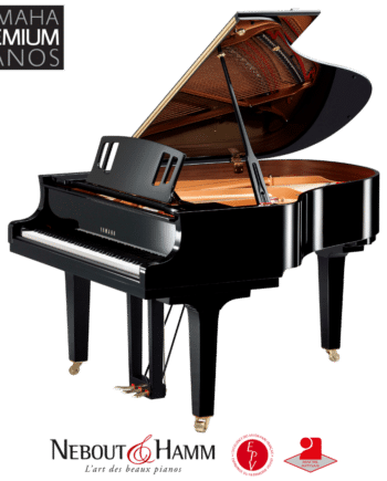 yamaha c2x Espressivo